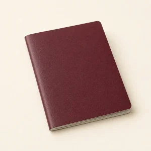 Item smarrito da recuperare: Passaporto