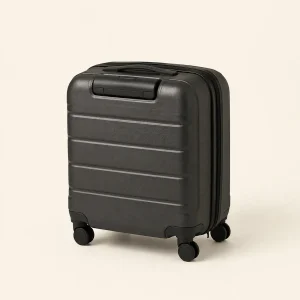 Item smarrito da recuperare: Trolley Piccolo