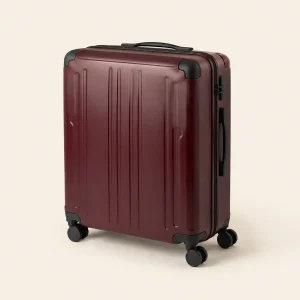 Item smarrito da recuperare: Luggageo Grande